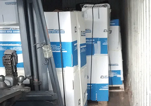 TRANSPORTE DE MERCANCIA GENERAL
