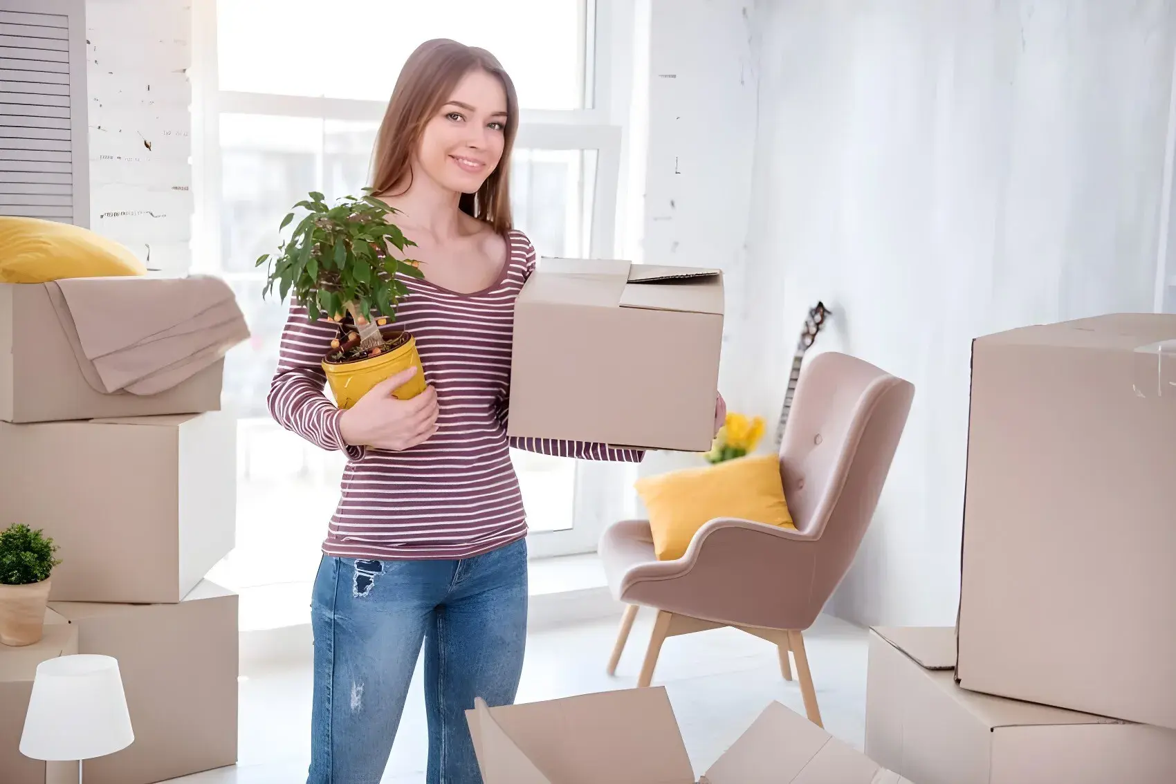 Cómo transportar plantas